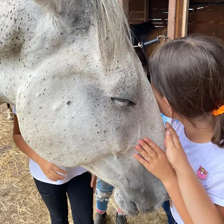 Tuender Guest house 3*