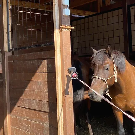 Tuender Guest house Mogyorod