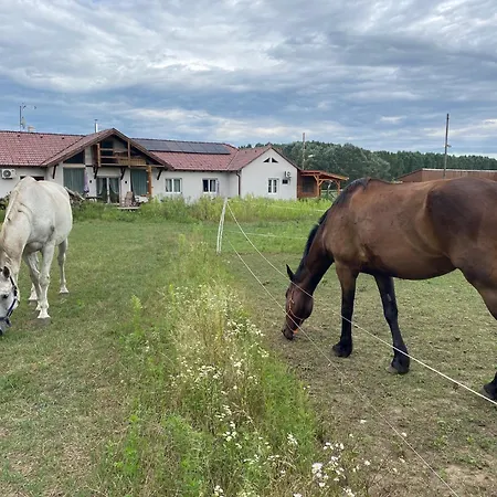 Tuender Pensiune Mogyoród