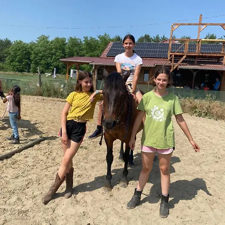 Guest house Tuender Mogyorod